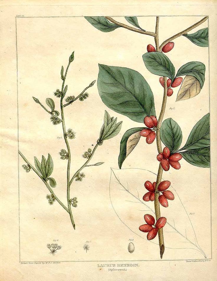John Davey